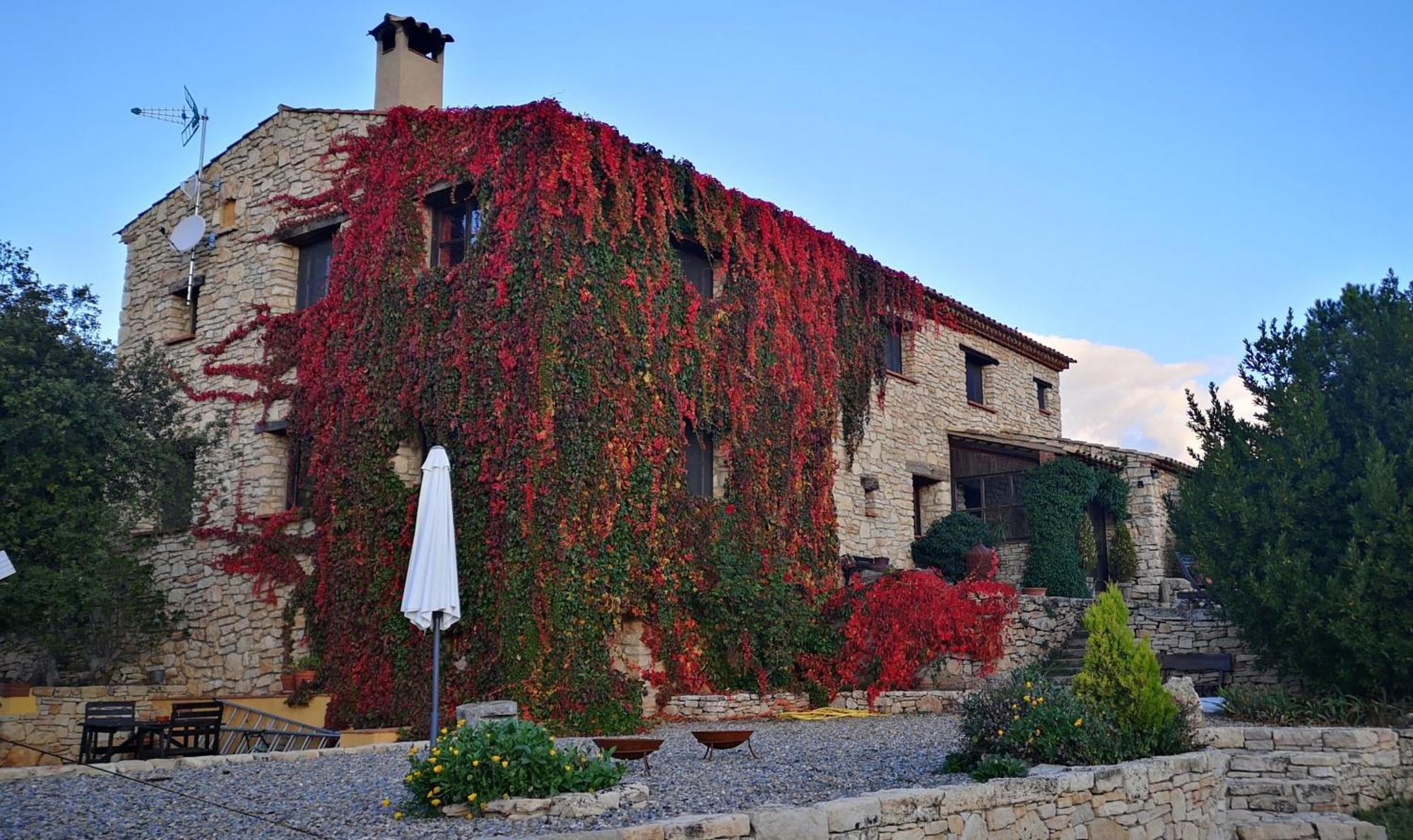 Mas De L'Arlequi Guest House Rojals Luaran gambar