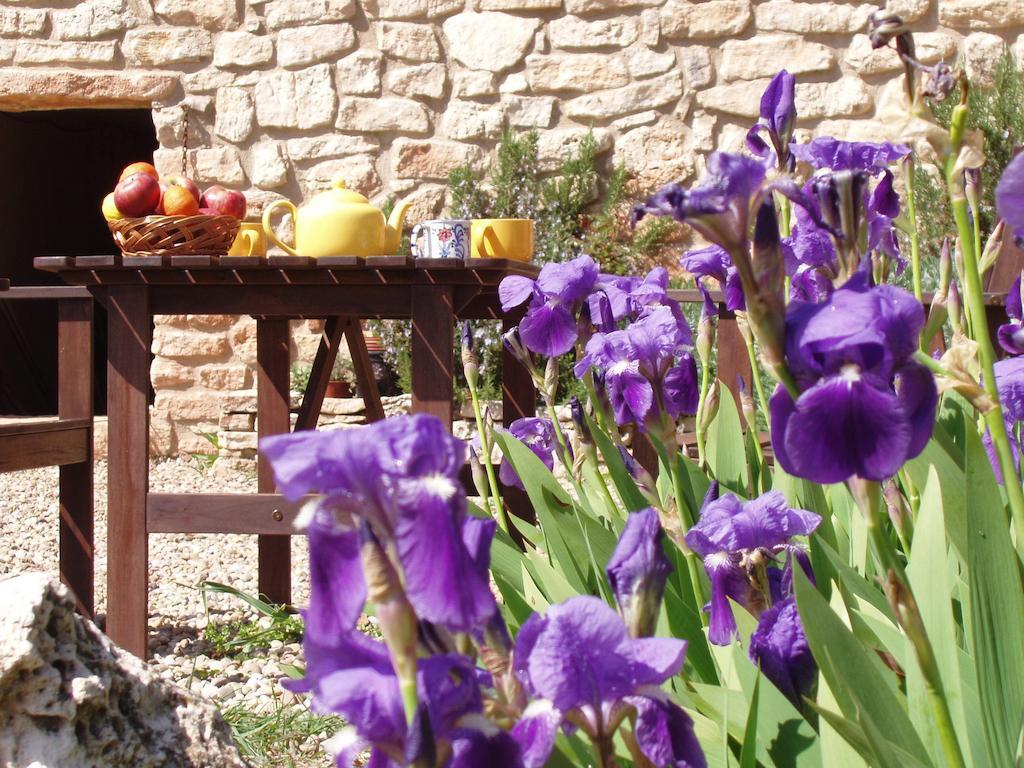 Mas De L'Arlequi Guest House Rojals Luaran gambar